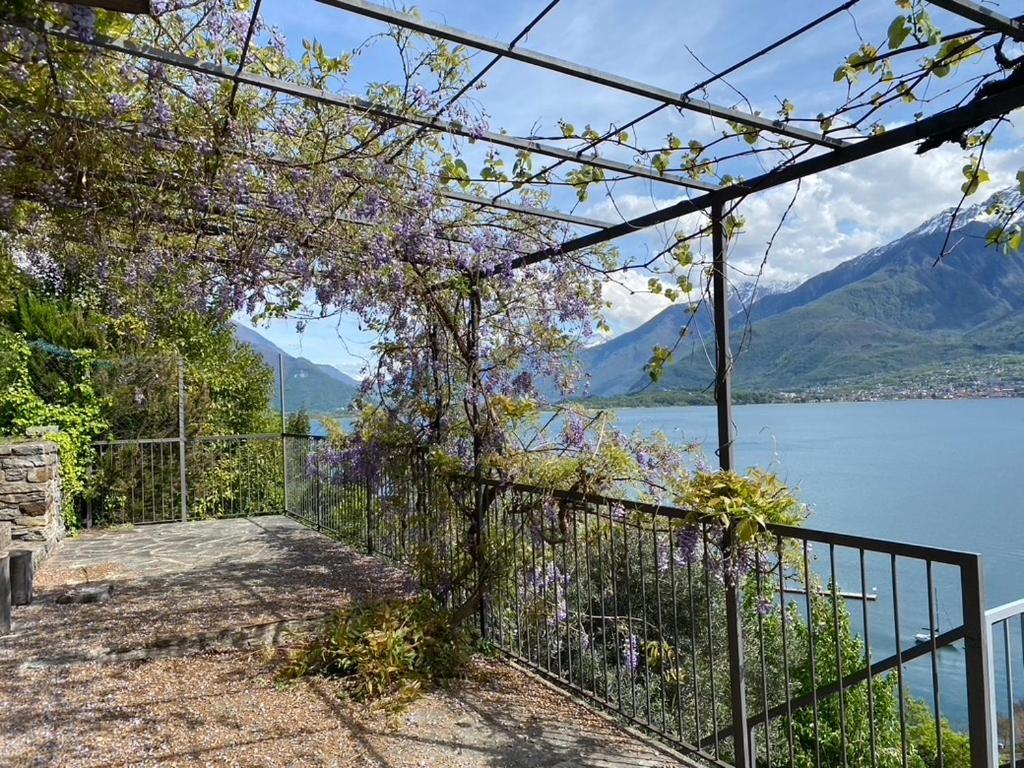 Rustico Dei Vini Villa Domaso Luaran gambar